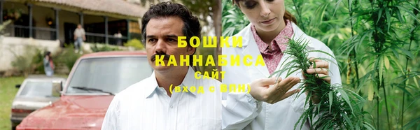 2c-b Гусев