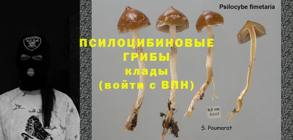 крисы Гусь-Хрустальный