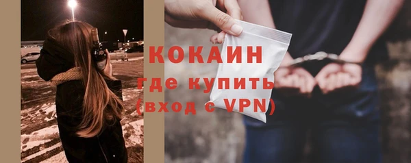 крисы Гусь-Хрустальный