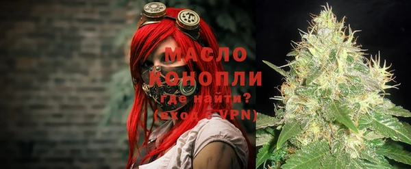 крисы Гусь-Хрустальный