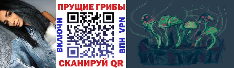 Купить закладки  Зуевка  Галлюциногенные грибы GOLDEN TEACHER 